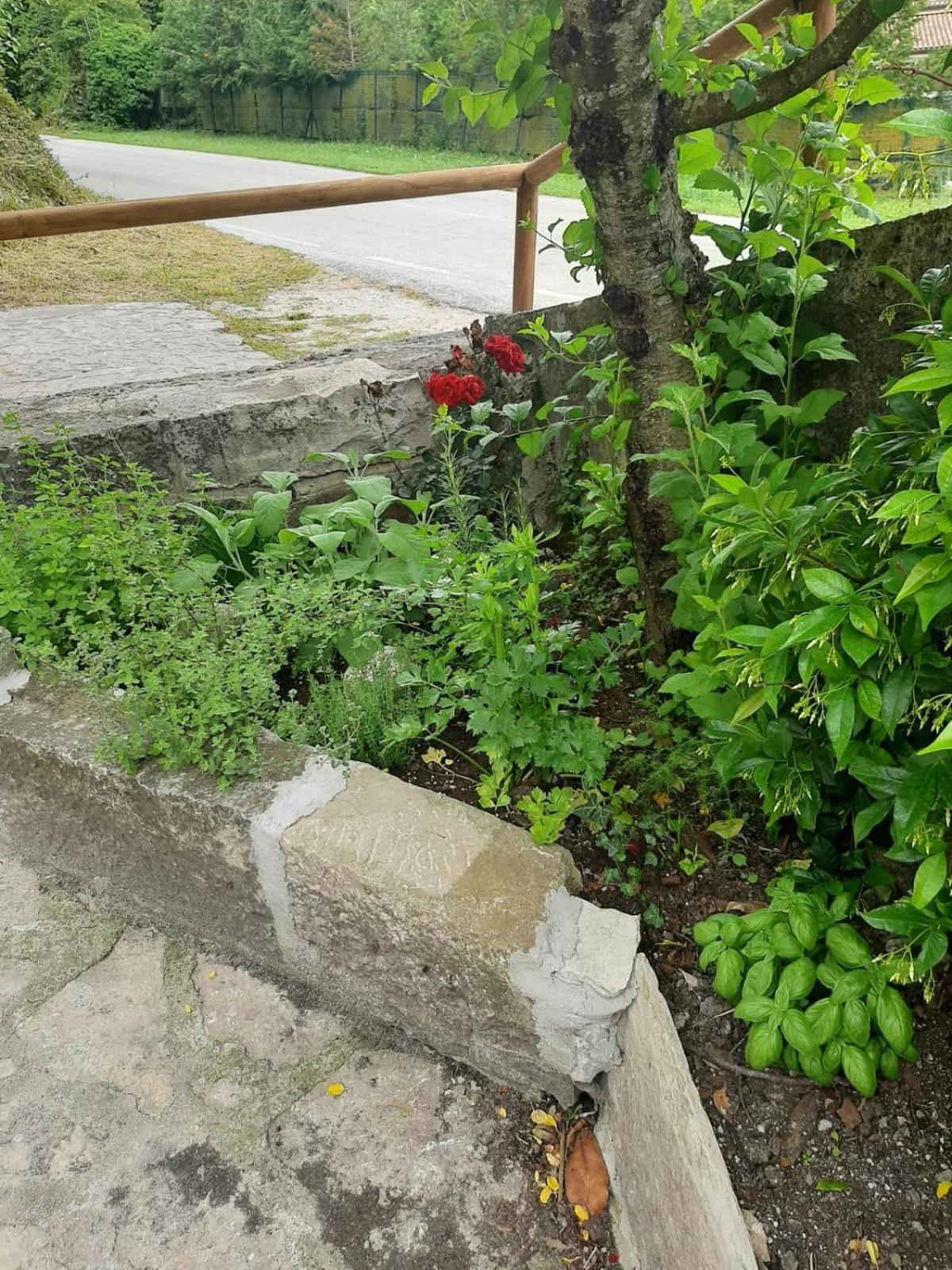 CarpinoneIl Caminetto公寓 外观 照片