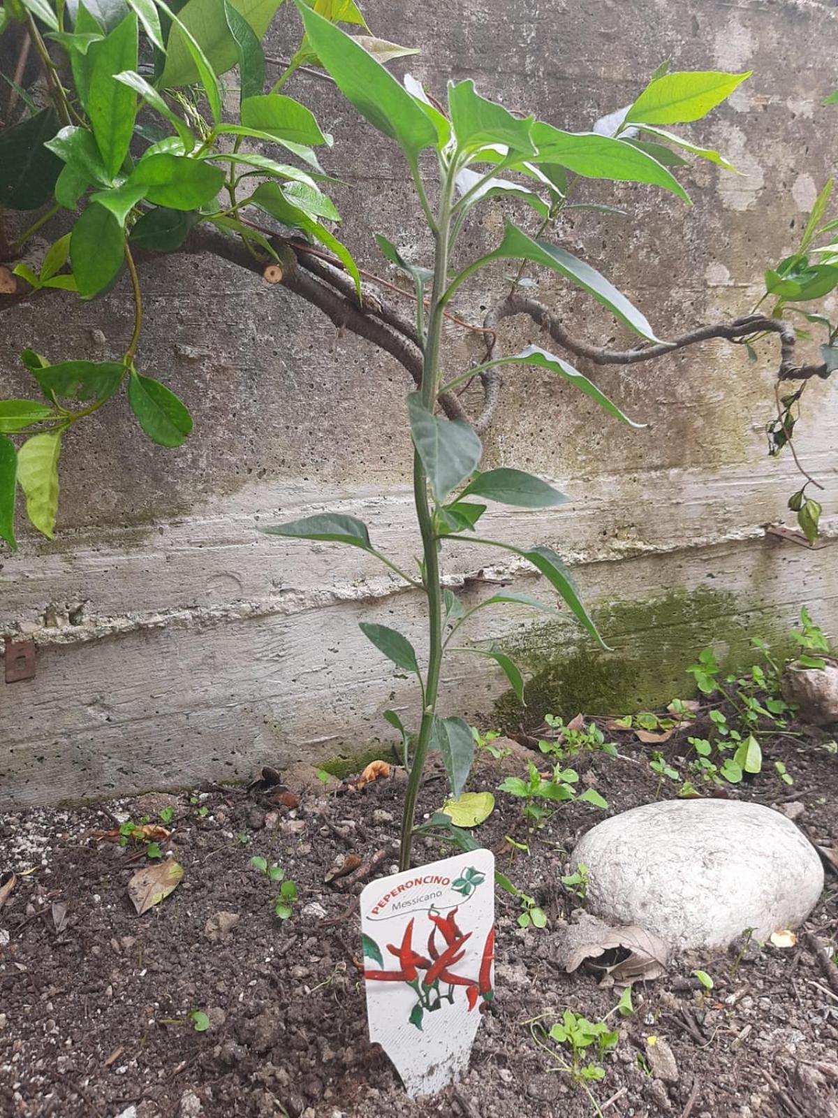 CarpinoneIl Caminetto公寓 外观 照片